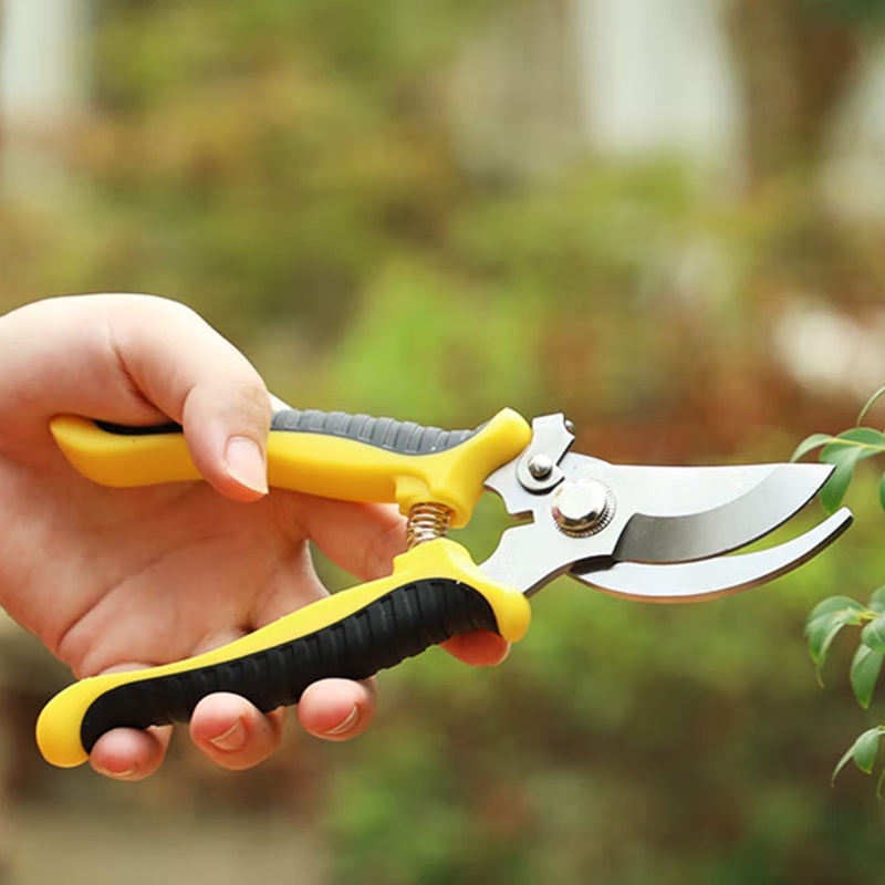 Shas Máy Cắt Tỉa Cành Làm Vườn Hạng Nặng