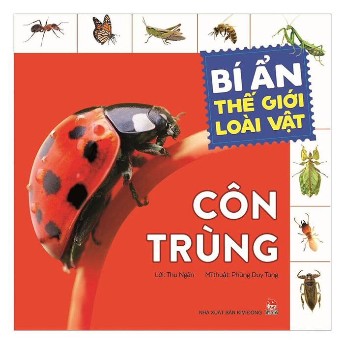 Sách- Bí Ẩn Thế Giới Loài Vật: Côn Trùng