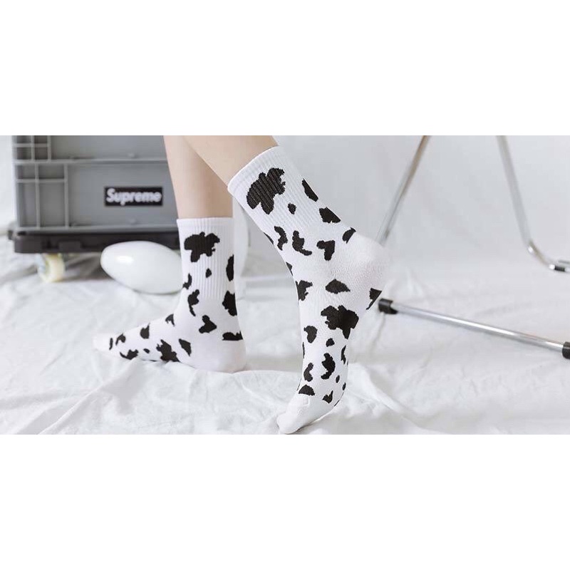 Tất/Vớ cổ cao BÒ SỮA Hàn Quốc nam nữ unisex