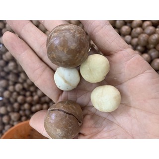 Mắc ca Úc nứt vỏ 500g/hủ (nhập khẩu)