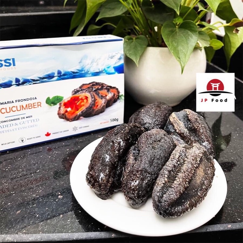 (hoả tốc) Hải Sâm Tươi Canada JPFood JM174-500g/hộp