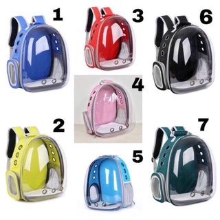 Balo hình trong suốt , balo hình mèo thú cưng