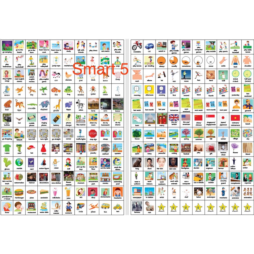 Sticker từ vựng tiếng anh Smart star 5 (2 kỳ)