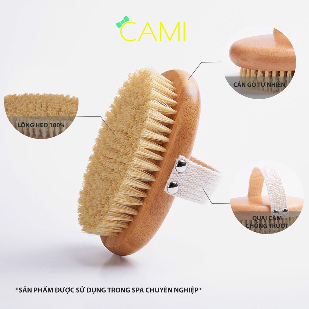Bàn Chải Lông heo rừng tự nhiên, cán gỗ sồi chắc chắn, dùng khi tắm hoặc dùng cho thú cưng - Cami - CMPK240