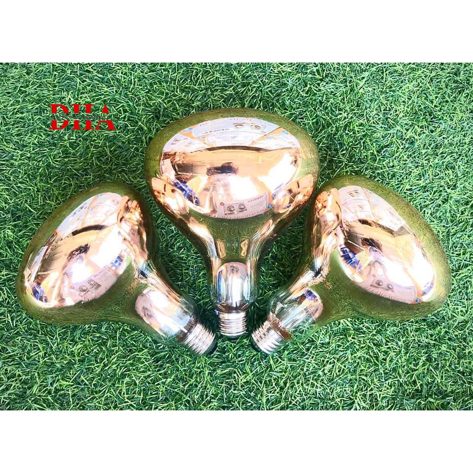 ĐÈN SƯỞI PHÒNG TẮM ÂM TRẦN 4 BÓNG MODEL SBH - 4L2BN - ĐÈN SƯỞI SWONSAN CAO CẤP CHỐNG LÓA MẮT