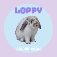 Loppy Pet's Home