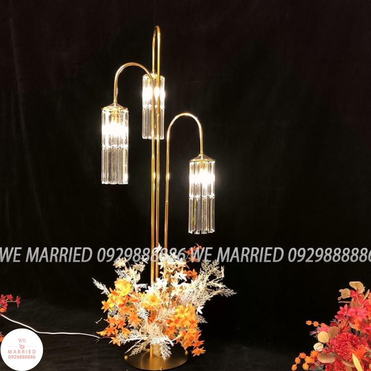 Đèn lưng gù 3 đầu AD058 (ảnh + video thật)