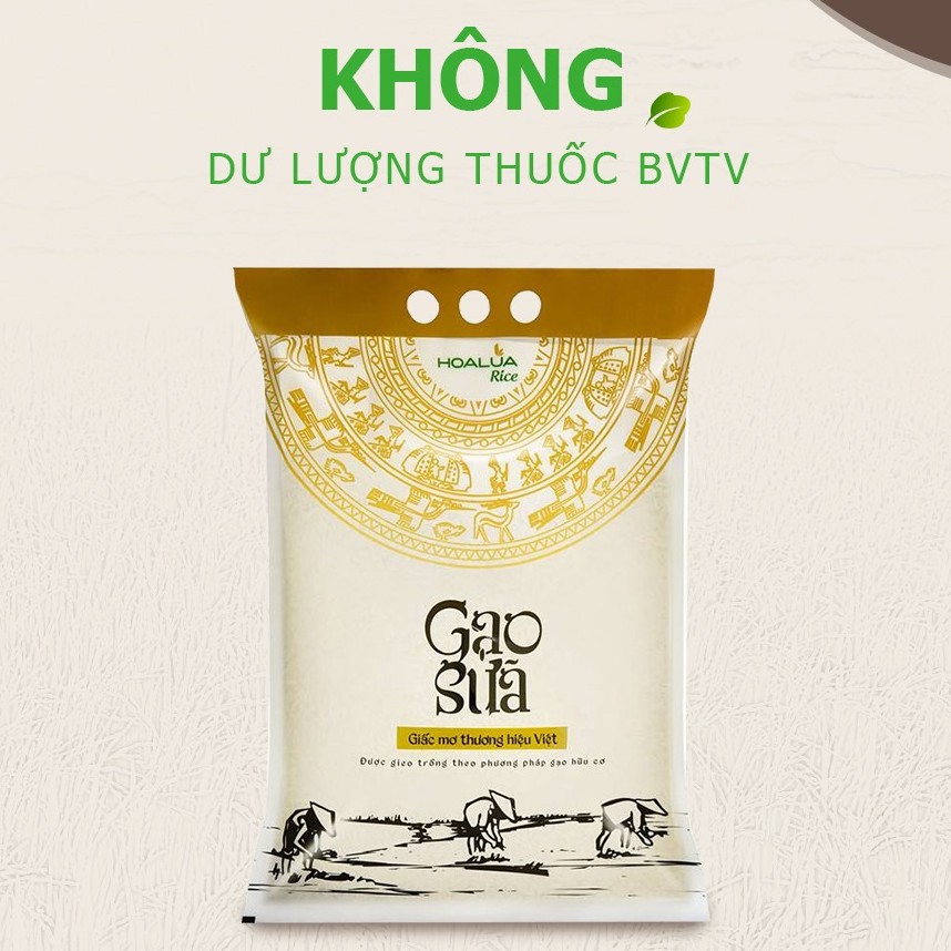 GẠO SỮA THƯỢNG HẠNG 5kg - Gạo Hoa Lúa