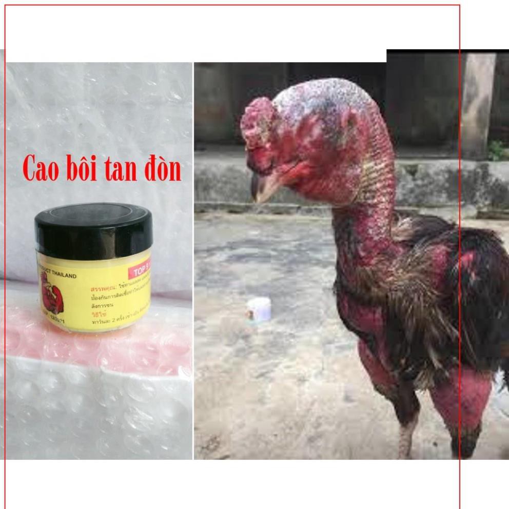 GV-  TOP9 30gr (thailand) Cao tan đòn gà chọi