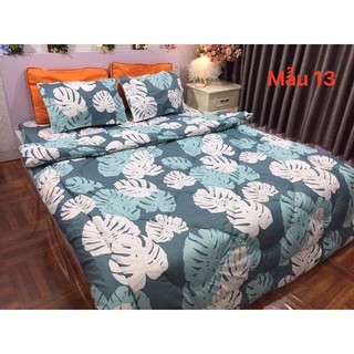 ga giường cotton