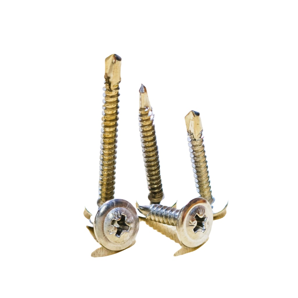 Vít đầu dù tự khoan inox 401