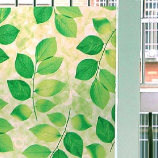 Decal dán kiếng mờ 