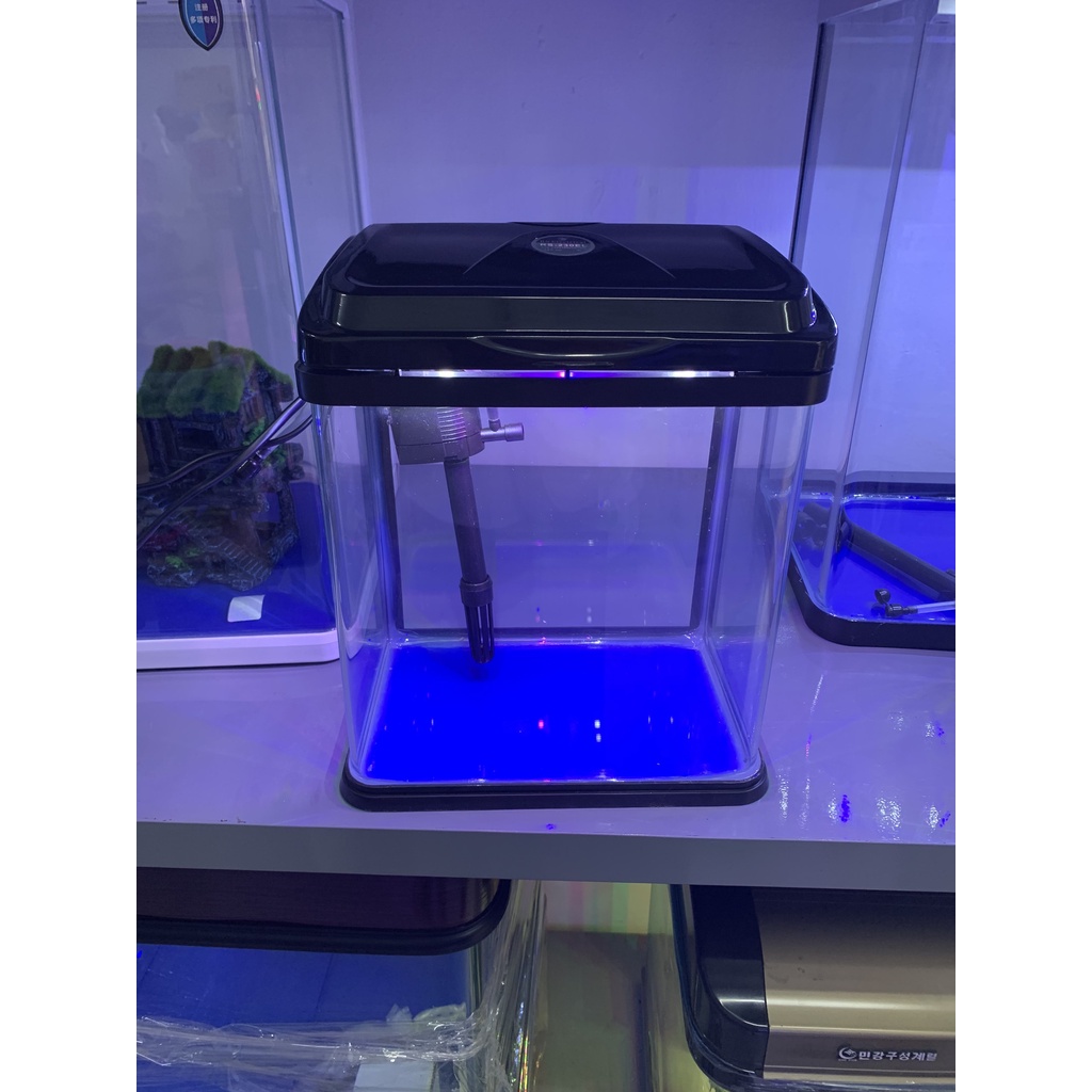 Bể cá để bàn văn phòng RS 230EL
