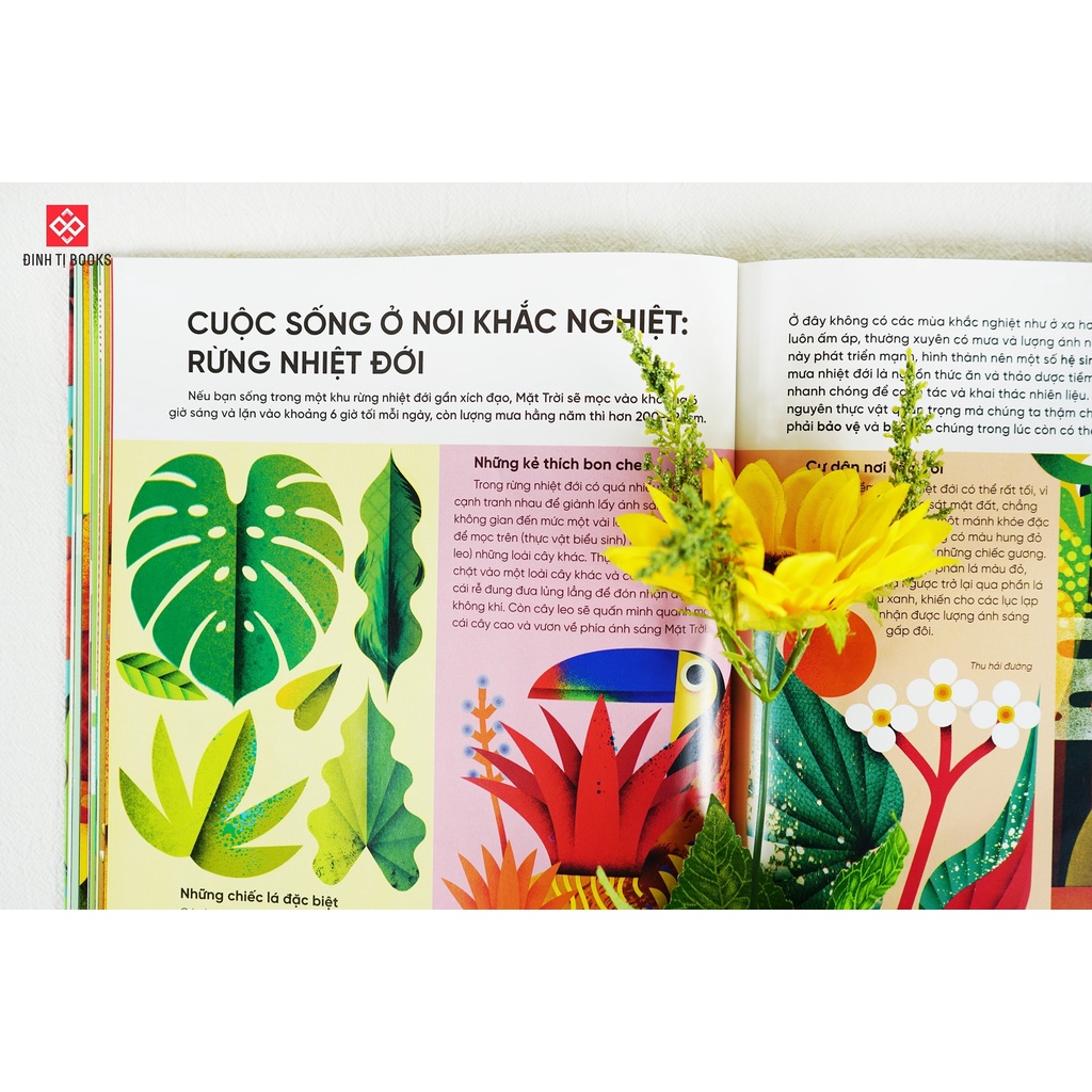 SÁCH - Bữa sáng của tớ là ánh dương