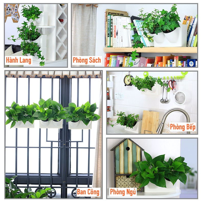 Chậu cây treo tường Oliz BG0. Chậu trồng cây tự tưới nước cho cây. Có thể lắp ghép cho diện tích lớn