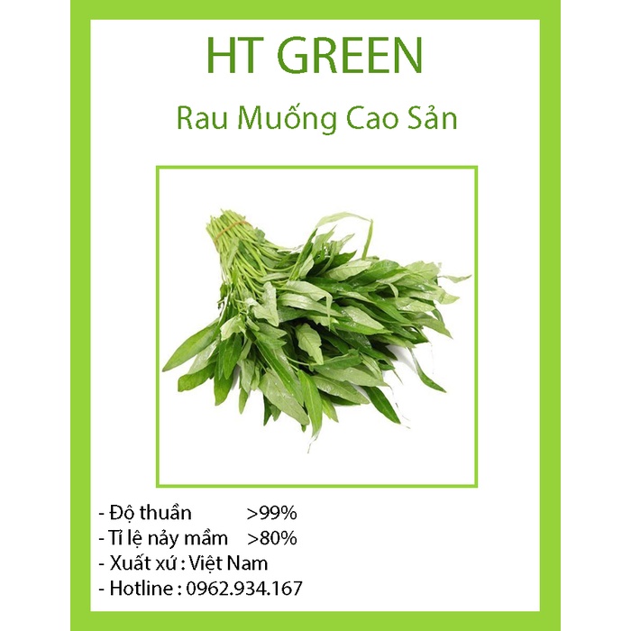 Hạt Giống Rau Muống Cao Sản