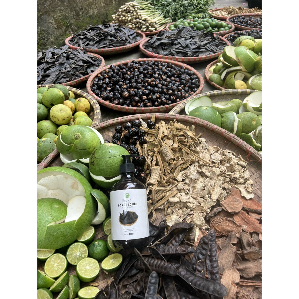 COMBO Dầu gội bồ kết cô đặc/ Dầu gội bưởi non handmade/ Dầu xả dừa nha đam giảm gàu, nấm, rụng tóc