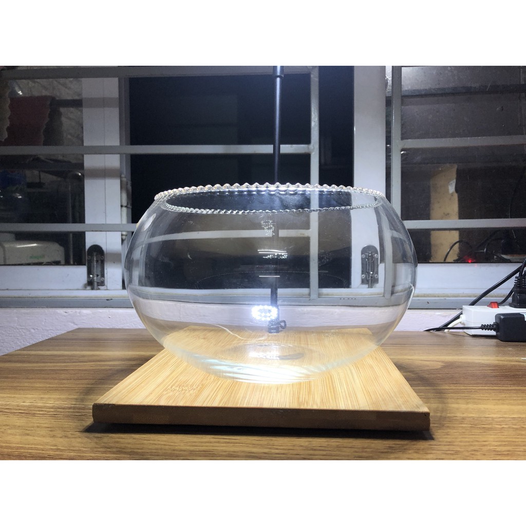 Bể thủy tinh tròn dầy dặn 22cm