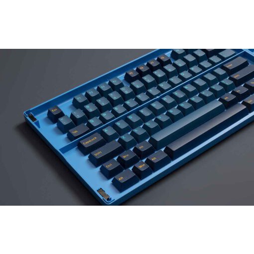 Nút bàn phím AKKO Keycap set – Macaw