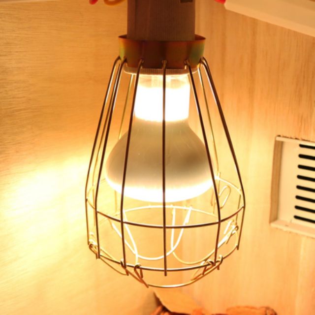 Chụp đèn bảo vệ an toàn