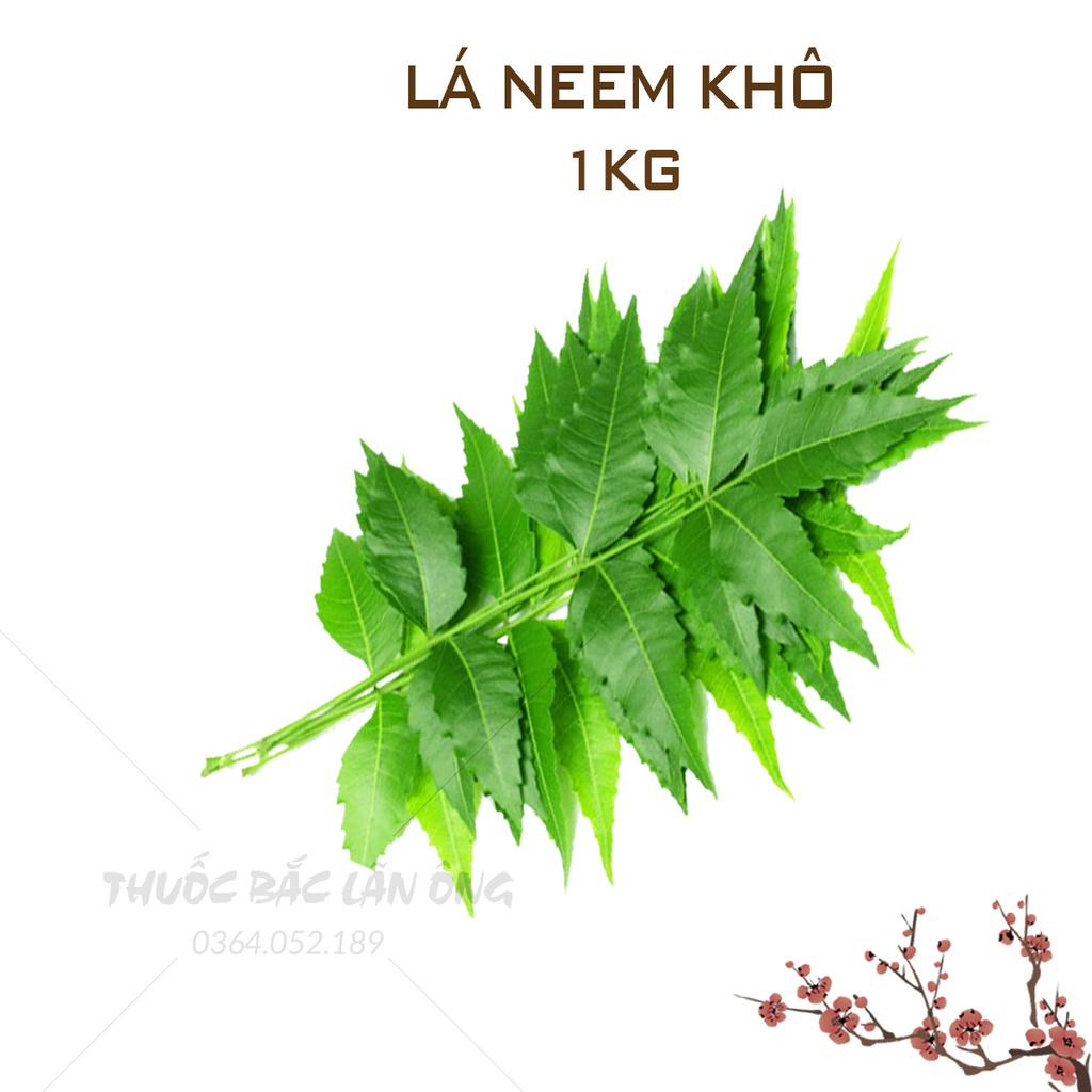 Lá neem khô 1kg