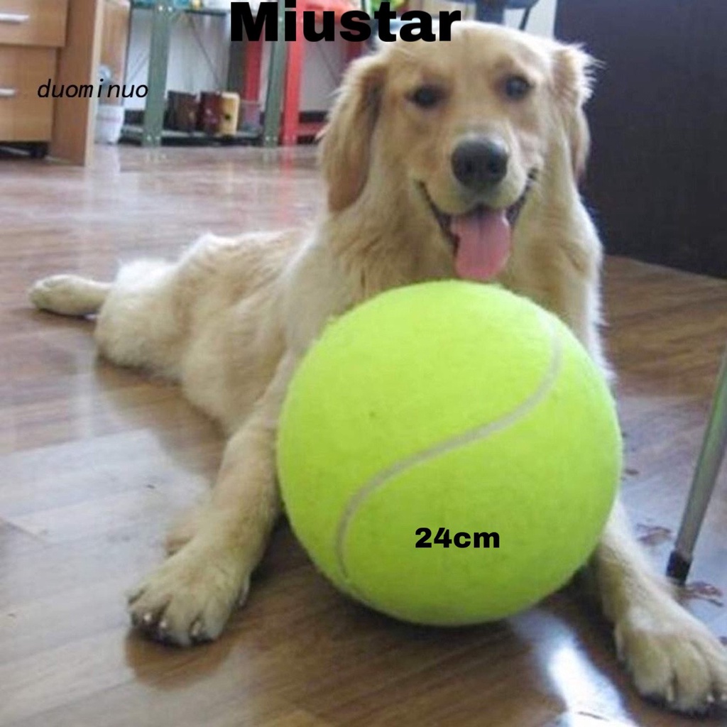 Như ảnh Bóng tenis cao su bơm hơi 24cm dành cho chó mèo