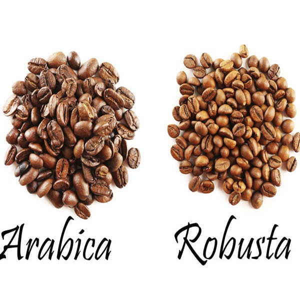 COMBO 2 GÓI -CAFE -TRUNG NGUYÊN KHÁT VỌNG I 500G LOẠI ĐẶC BIỆT | BigBuy360 - bigbuy360.vn