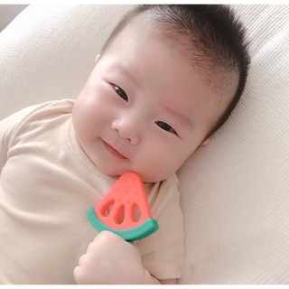 Gặm nướu silicon hình hoa quả cho bé kèm hộp cao cấp