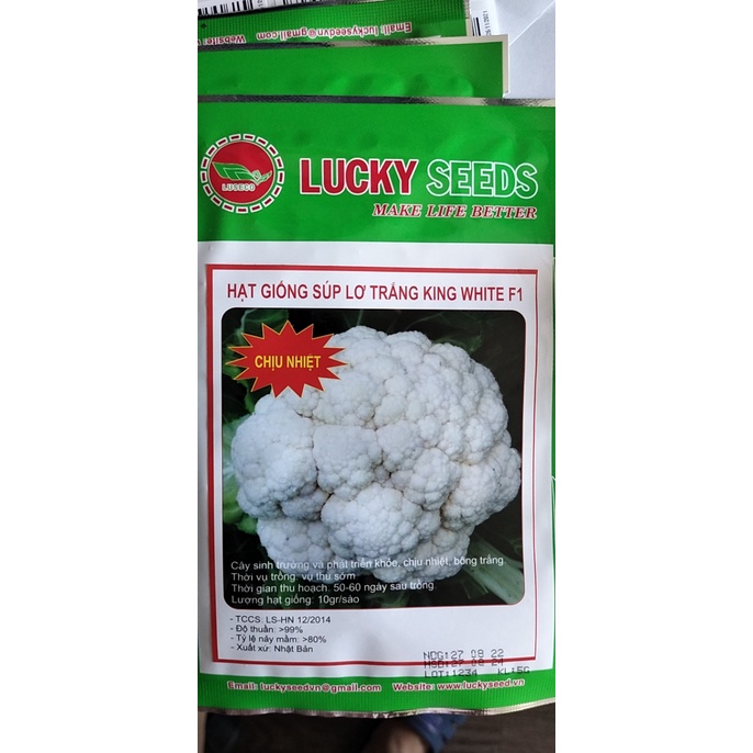 Hạt giống suplo trắng king white -  Rau củ quả trồng tại vườn, sân thượng, nông trang, ban công