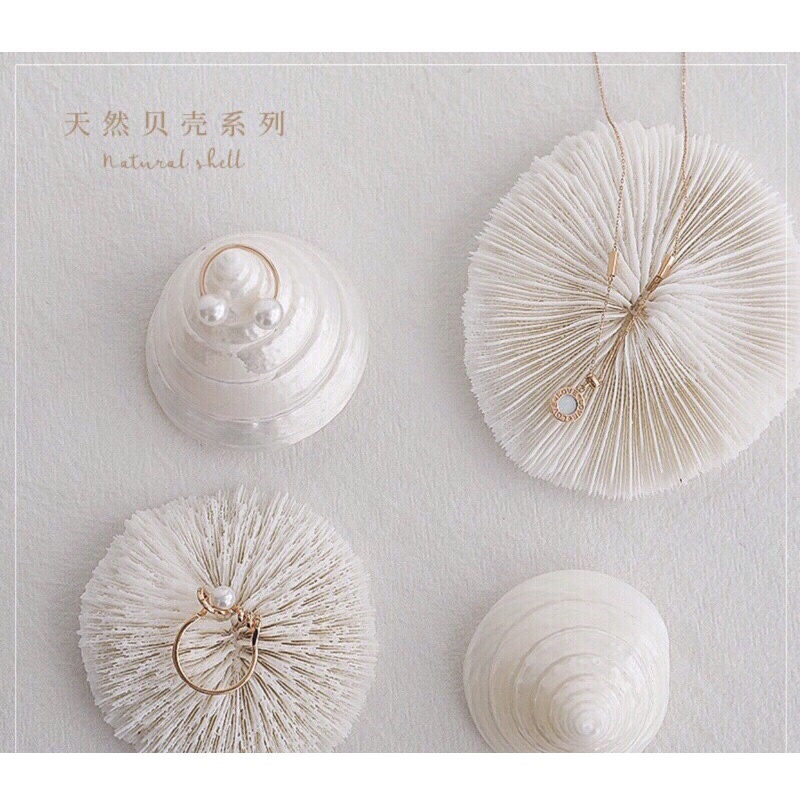 Đồ Decor, Chụp Ảnh Trang Sức Hình San Hô Biển Sang Trọng.