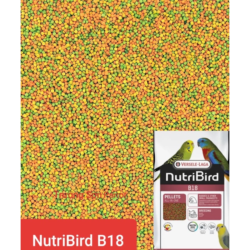 100g hạt trái cây B18 (Bỉ) mẫu mới, date mới cho chim vẹt, chào mào, yến hót,...