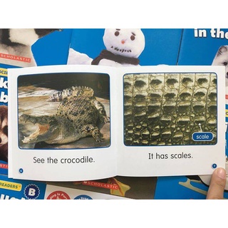 [Big Sale!] Bộ nhập 81q - Scholastic Guided Science Readers ABCDEF