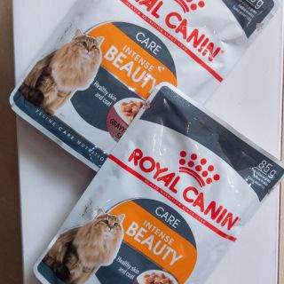 PATE ROYAL CANIN INTENSE BEAUTY JELLY – CHĂM SÓC LÔNG KHỎE ĐẸP 85G