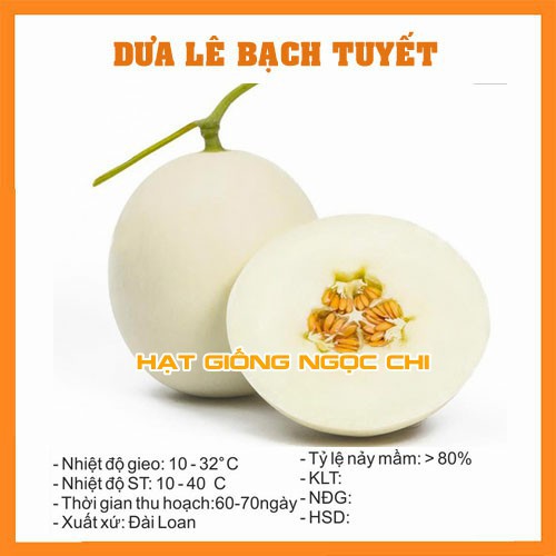 Hạt Giống Dưa Lê Bạch Tuyết (Dưa Lê Trắng, Dưa Lê Bạch Ngọc) - 20H