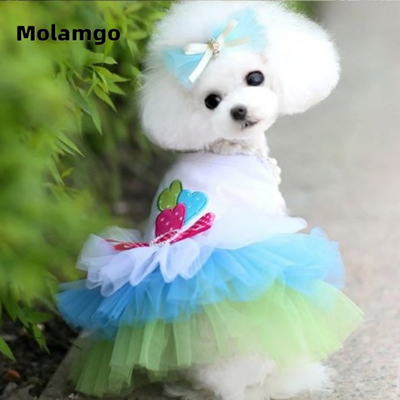 Bộ váy xinh xắn đáng yêu thời tran xuân thu cho thú cưng