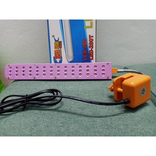 Đèn LED trang trí siêu rẻ bể cá cảnh