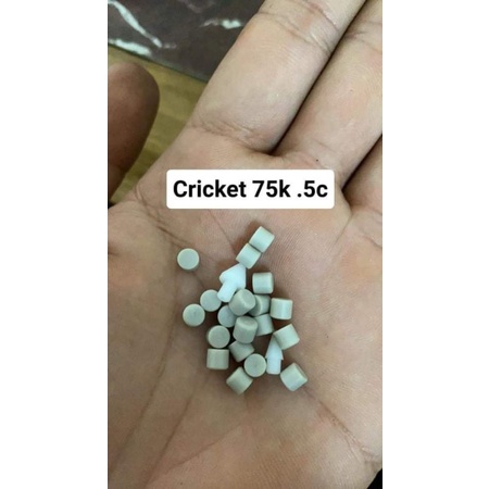 peek trụ ( critket mở HUBEN )