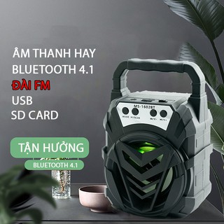 Loa gỗ Bluetooth xách tay MS-160BT