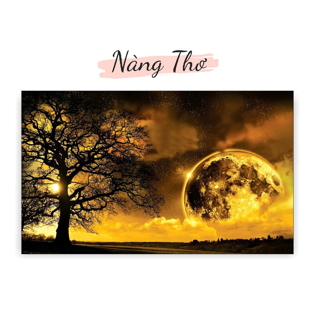 TRANH DECAL DÁN HỒ CÁ NHIỀU KÍCH THƯỚC_THIẾT KẾ NÀNG THƠ