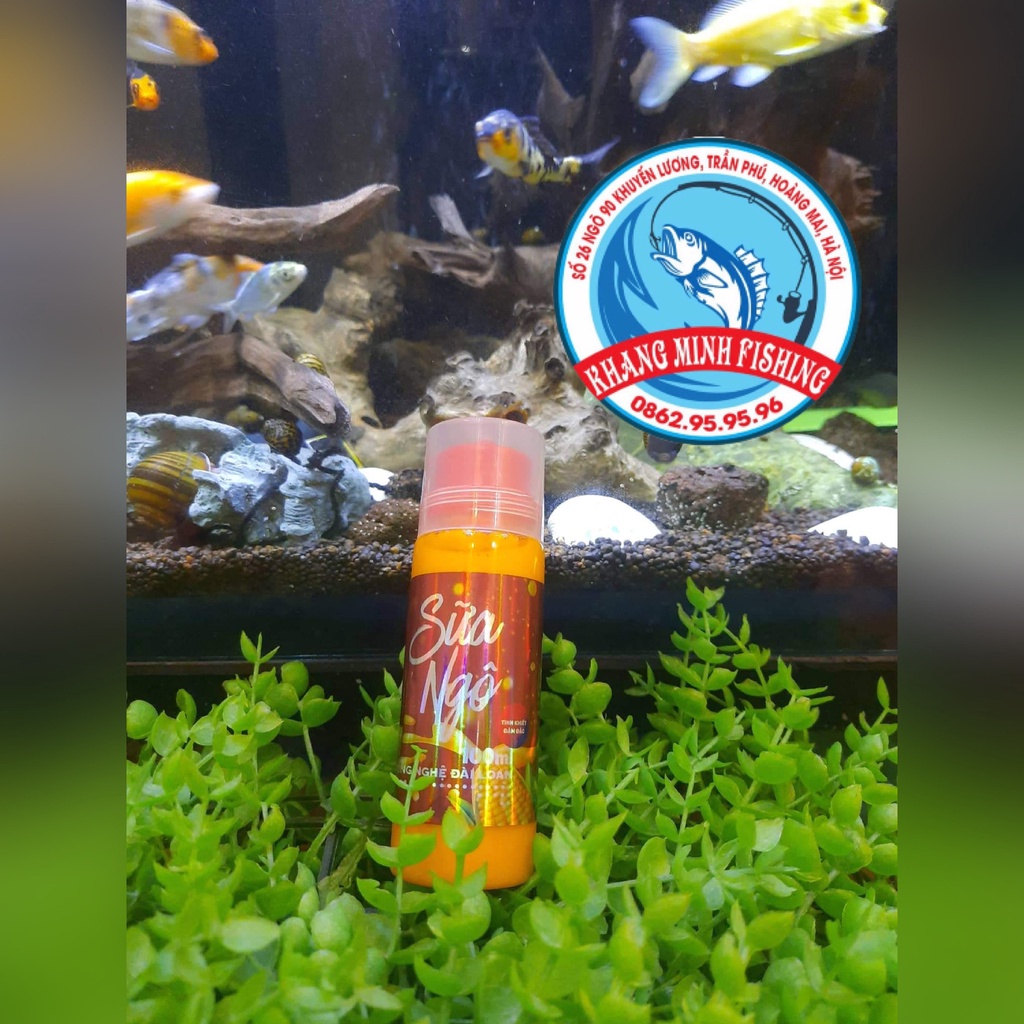 Sữa ngô Sa Phạm