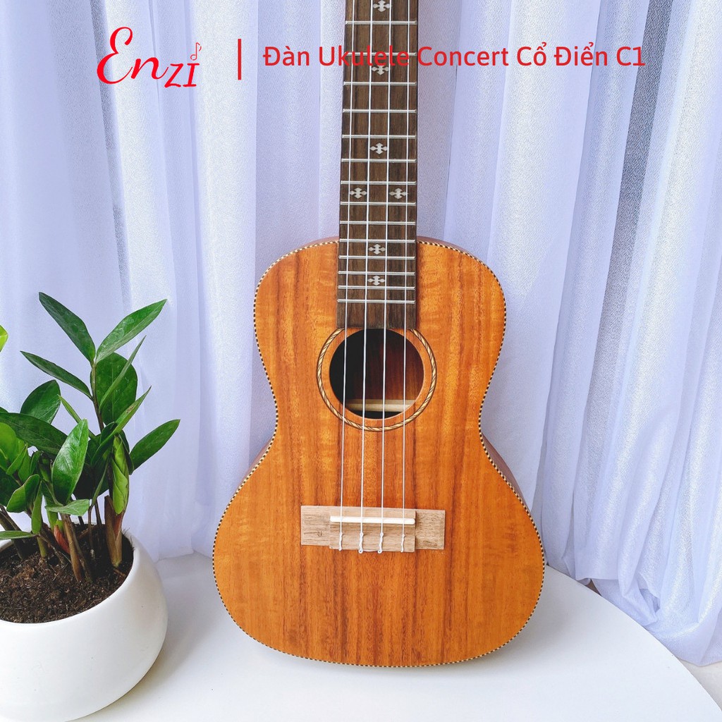 Đàn ukulele concert size 23 inch gỗ dáng khóa classic cổ điển giá rẻ chất lượng tốt Enzi