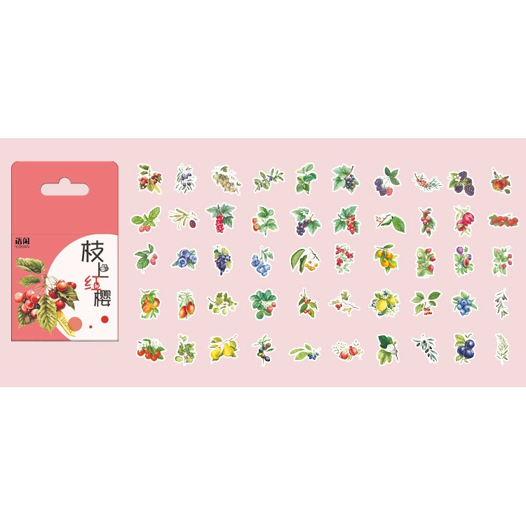 Hộp 50 sticker giấy SH5002 Gachini