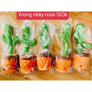 Xương rồng nhảy múa loại 1 đồ chơi cho bé