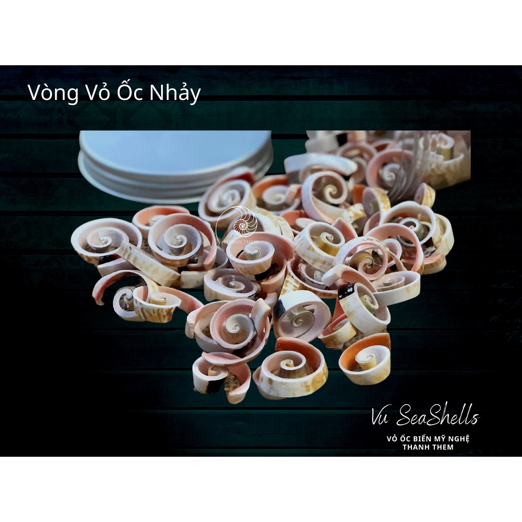 Phụ Kiện Decor - 100gr Vòng Xoắn Ốc Nhảy Đỏ - Vỏ Ốc Biển