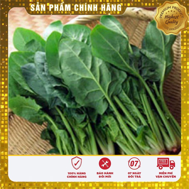 Hạt giống Rau Chân Vịt ( Cải Bó Xôi) 20 gram 3000-4000 hạt