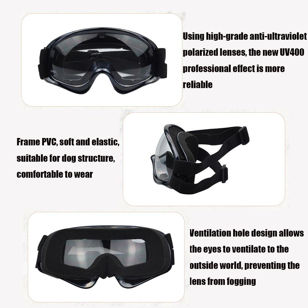 Layor1 Kính Bảo Vệ Mắt Có Thể Điều Chỉnh Bền Bỉ Dùng Chụp Ảnh Cho Cún Cưng