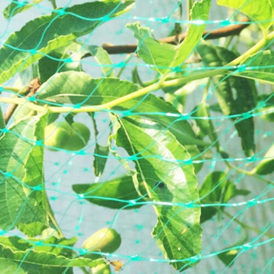 Lưới chống chim Lưới hàng rào Deer Lưới ao xanh Lưới chống chim Bền