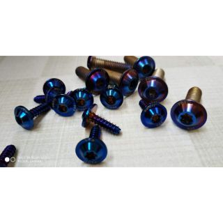 Ốc proti titan 10 con