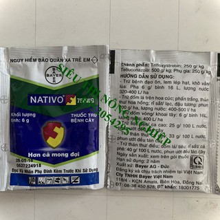 Đặc trị đốm lá trên hoa hồng, hoa cúc - NATIVO 750WG