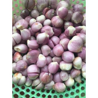 HÀNH TA PHI THƠM KINH MÔN 1kg